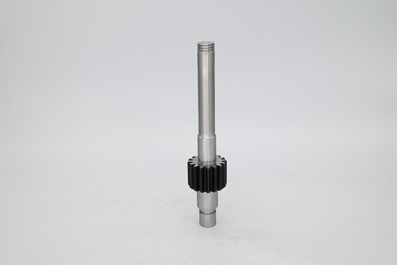 f9532cf61f.jpg